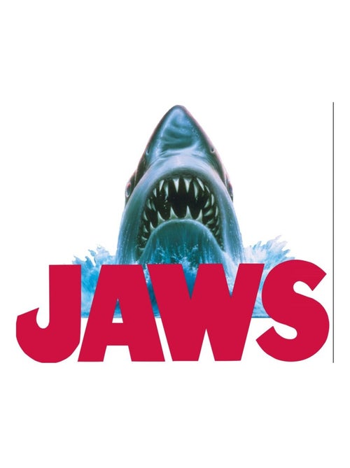 Chaussettes Pack Garçon JAWS - Pack de 6 - Kiabi