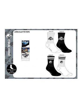 Chaussettes Pack HOMME JURASSIC WORLD - Pack de 4