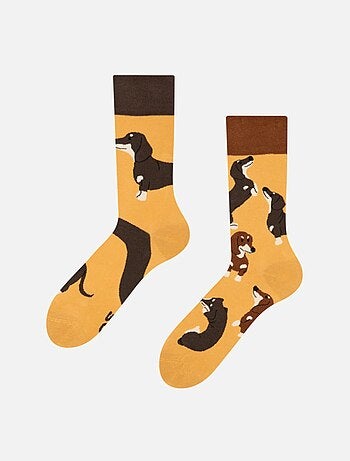 Chaussettes Teckels