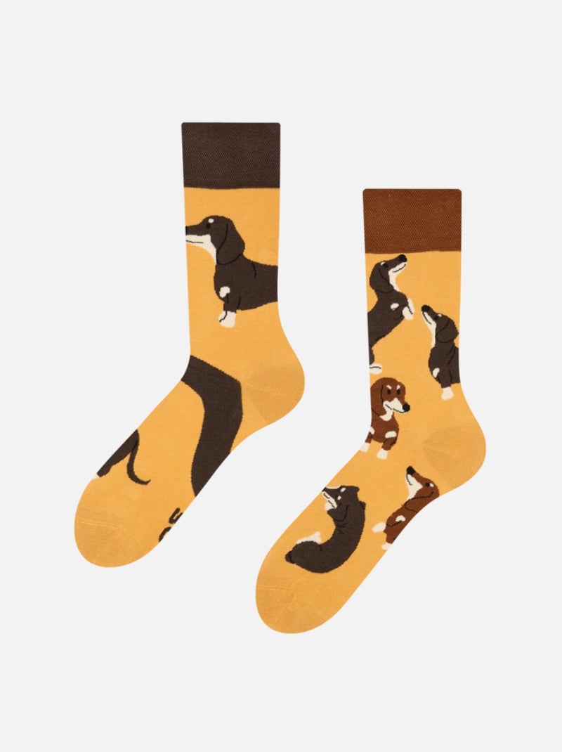 Chaussettes Teckels Jaune - Kiabi