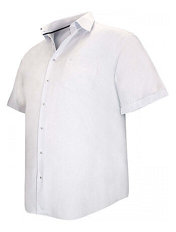 Chemise homme grande taille à rayure coupe droite LEWIS Doublissimo