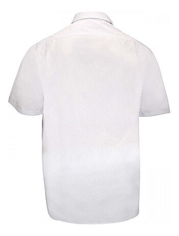 Chemise homme grande taille à rayure coupe droite LEWIS Doublissimo
