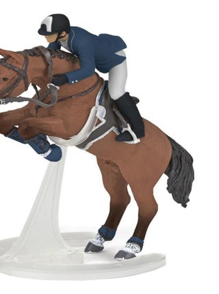 Cheval de saut d'obstacle et son cavalier