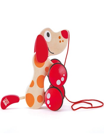 Animaux magnétiques (30 pièces) : Hape - Berceau Magique