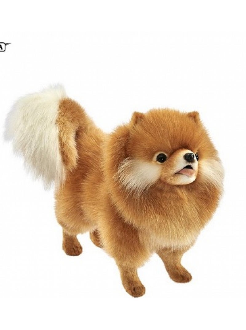 Chien Chow Chow 36 centimetres Orange - Kiabi