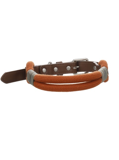 Chien Collier Athos Cognac - Kiabi