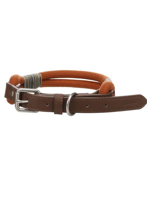 Chien Collier Athos Cognac - Kiabi
