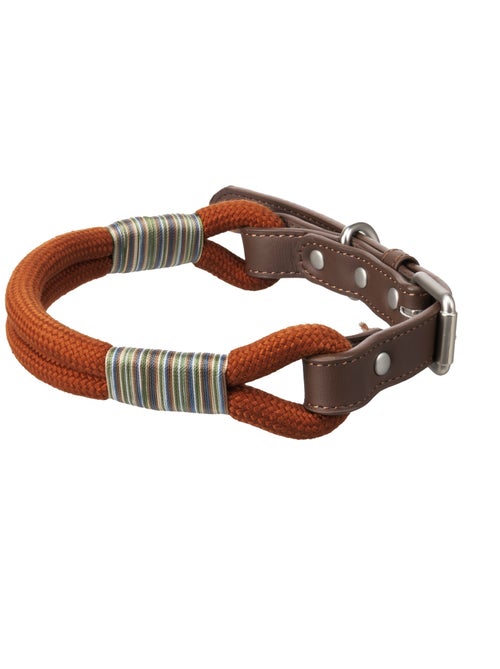 Chien Collier Athos Cognac - Kiabi