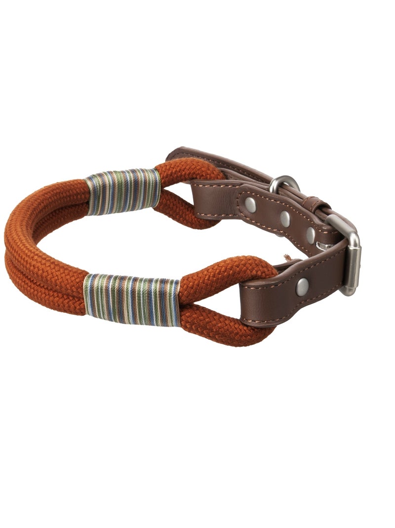 Chien Collier Athos Cognac Orange - Kiabi