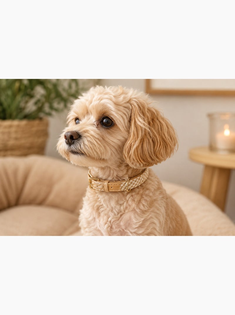 Chien Collier Lara Beige Beige - Kiabi