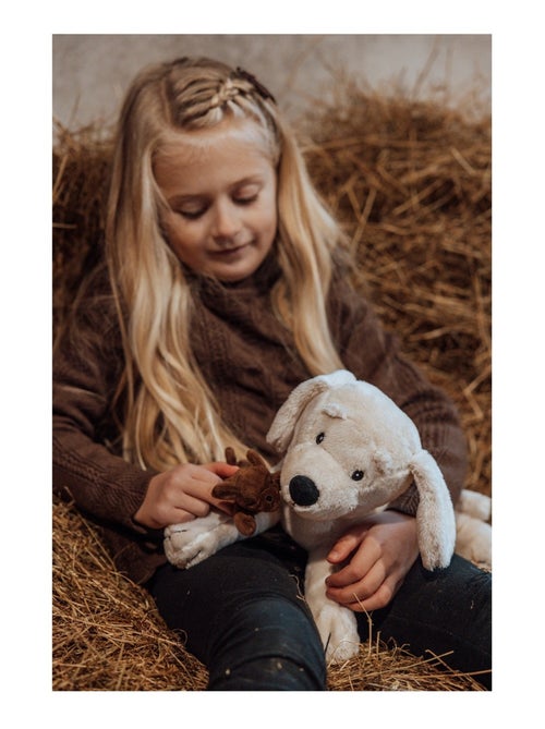 Chien en peluche et ses chiots - Kiabi