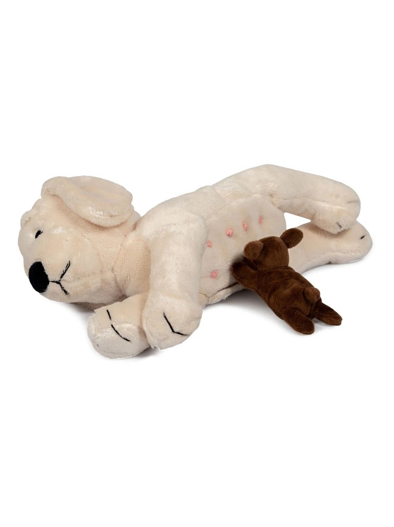 Chien en peluche et ses chiots Beige - Kiabi