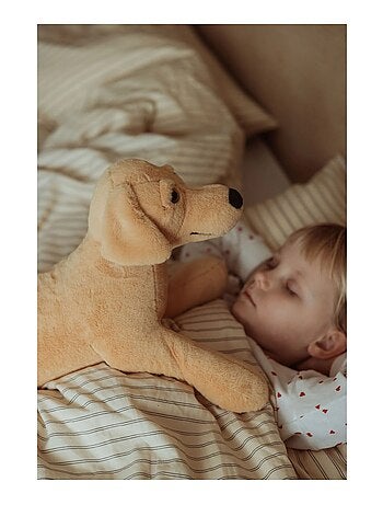 Chien en peluche lesté 2,2 kg