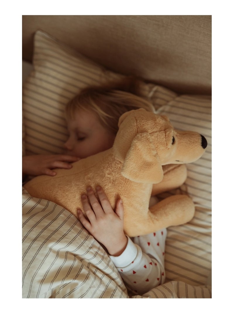 Chien en peluche lesté 2,2 kg Jaune - Kiabi