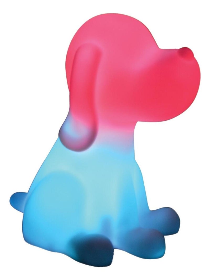 Chien Veilleuse En 3d Env 20 Cm Avec Diffusion Lumière En Couleurs Transparent - Kiabi