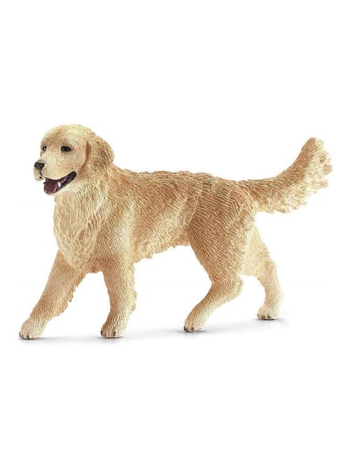 Chiene Golden Retriever - Kiabi