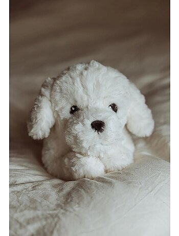 Chiot en peluche lesté 0,6 kg