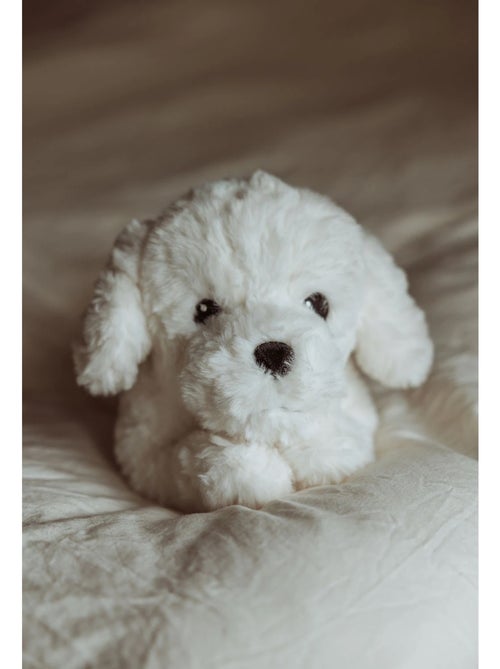 Chiot en peluche lesté 0,6 kg - Kiabi
