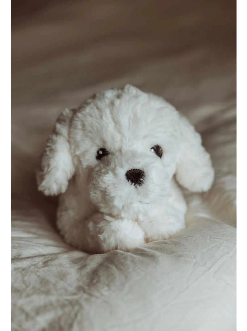 Chiot en peluche lesté 0,6 kg Blanc - Kiabi
