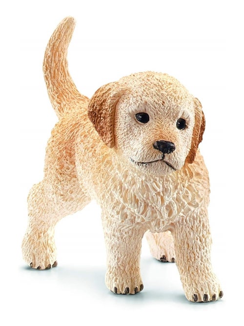 Chiot Golden Retriever - Kiabi