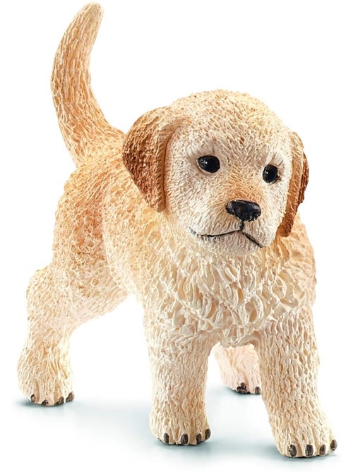 Chiot Golden Retriever - Kiabi