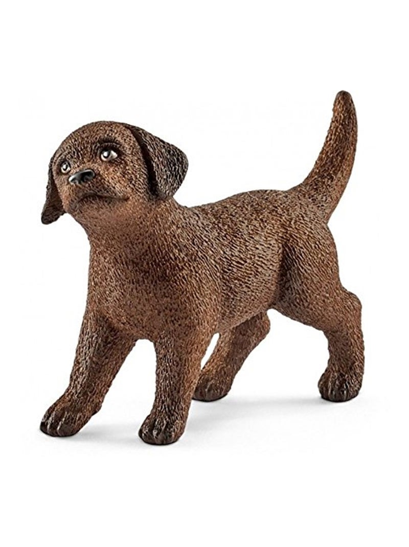Chiot Labrador Retriever Multicolore - Kiabi