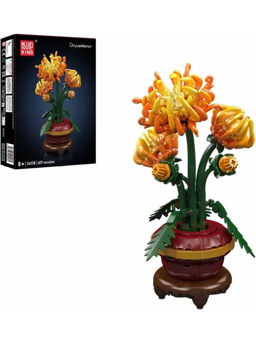 Chrysanthème en pot - Kiabi