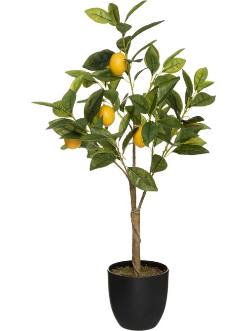 Citronnier artificiel - Kiabi