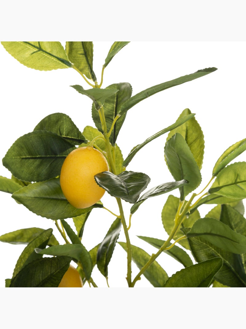 Citronnier artificiel Multicolore - Kiabi