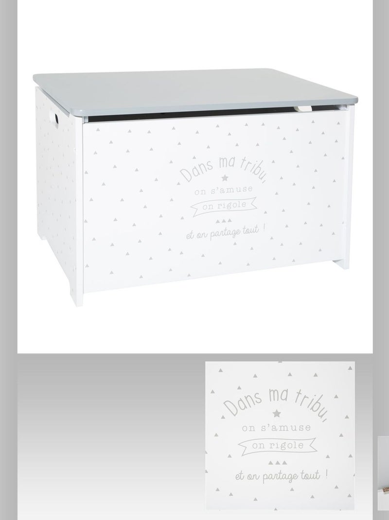 Coffre à jouet Argent - Kiabi