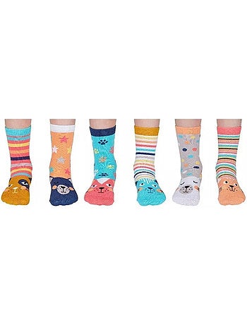 Coffret - Chaussettes - Catkins