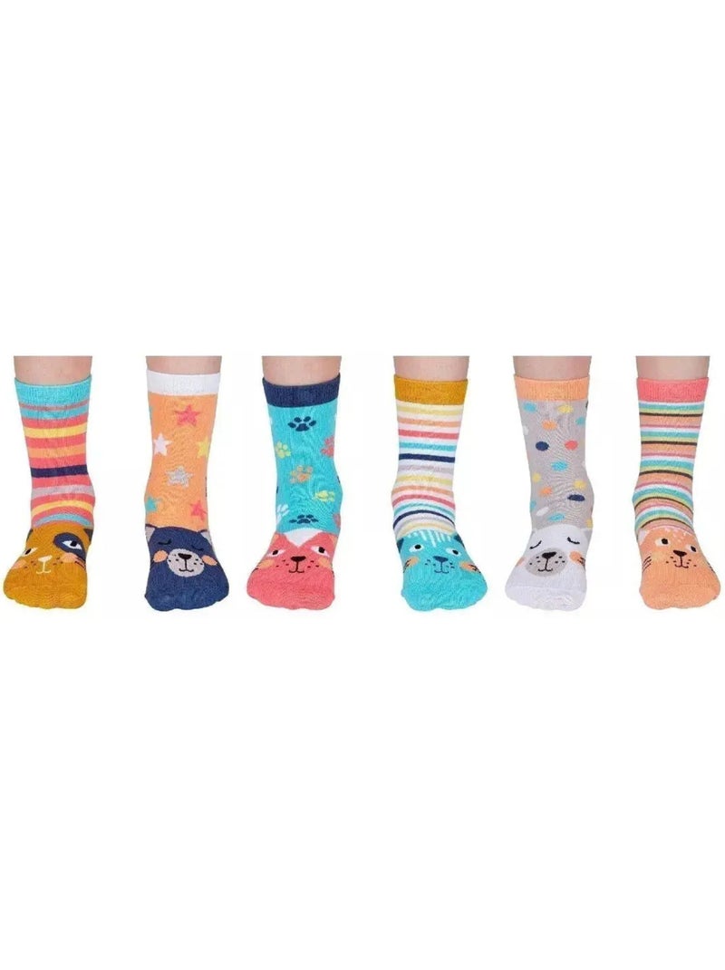 Coffret - Chaussettes - Catkins Multicolore - Kiabi