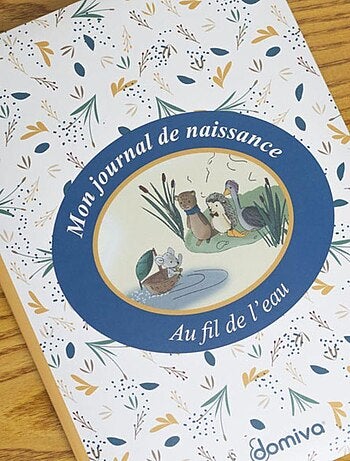Coffret - domiva - au fil de l'eau - boîte à trésors + journal de naissance