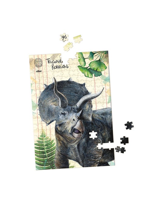 Coffret 3 puzzles dinosaures et posters - Kiabi