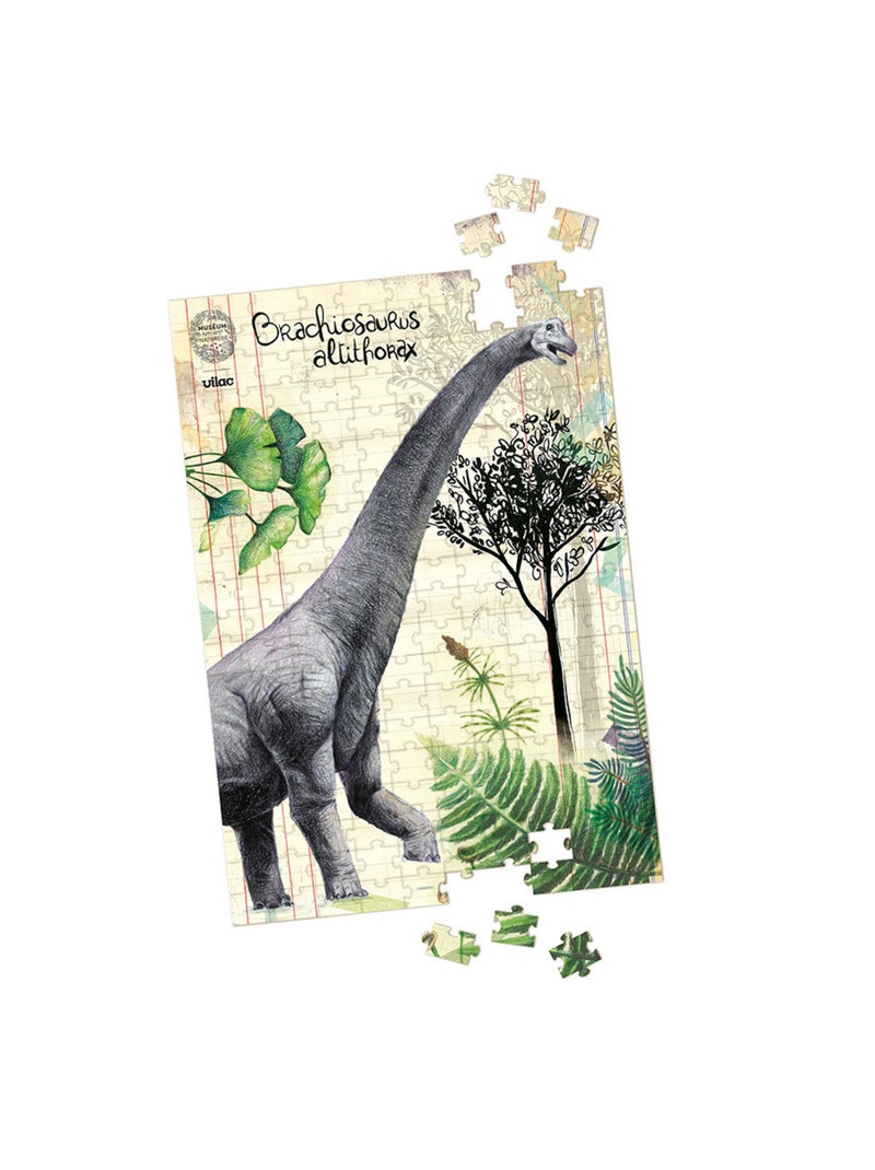 Coffret 3 puzzles dinosaures et posters N/A - Kiabi