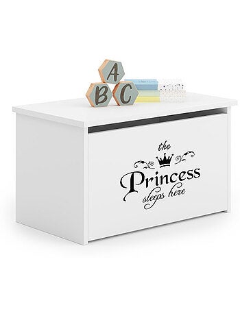 Coffret à jouets Daria - Princesse