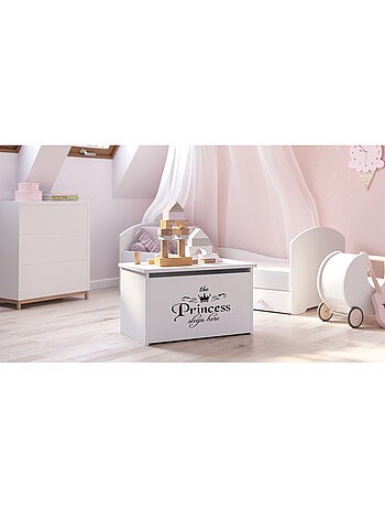 Coffret à jouets Daria - Princesse