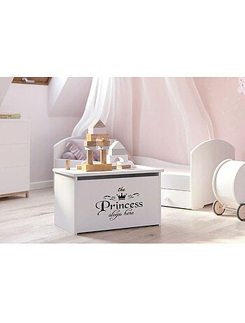 Coffret à jouets Daria - Princesse