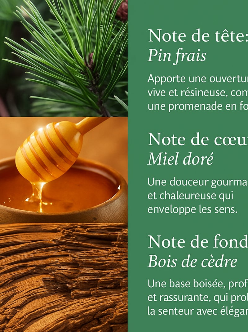 Coffret bougie et chaussettes sapin de Noël Vert - Kiabi