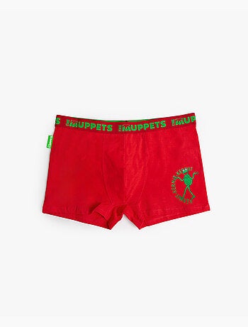 Coffret cadeau boxer Kermit pour homme DISNEY
