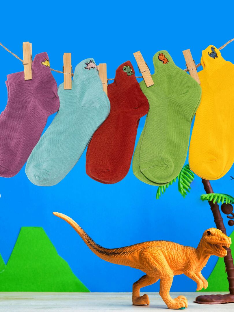 Chaussettes Antidérapantes Enfant Garçon Dinosaure en Coton Peigné (3  paires) – Kolibri Socks