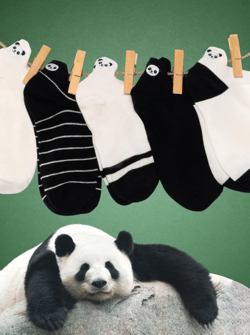Coffret Chaussettes Languette Panda (Lot x5)- Sockup- 35-42 Multicolore - Kiabi