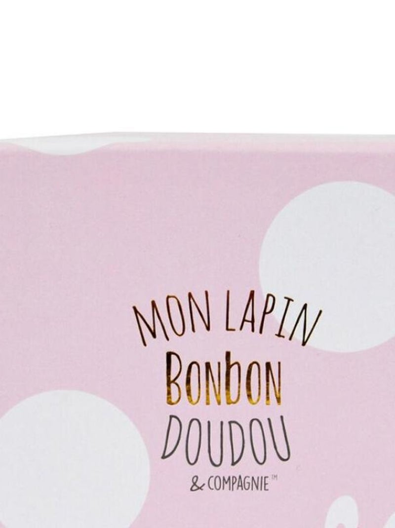 Coffret chaussons hochet Mon tout petit lapin rose (0-6 mois) Rose - Kiabi