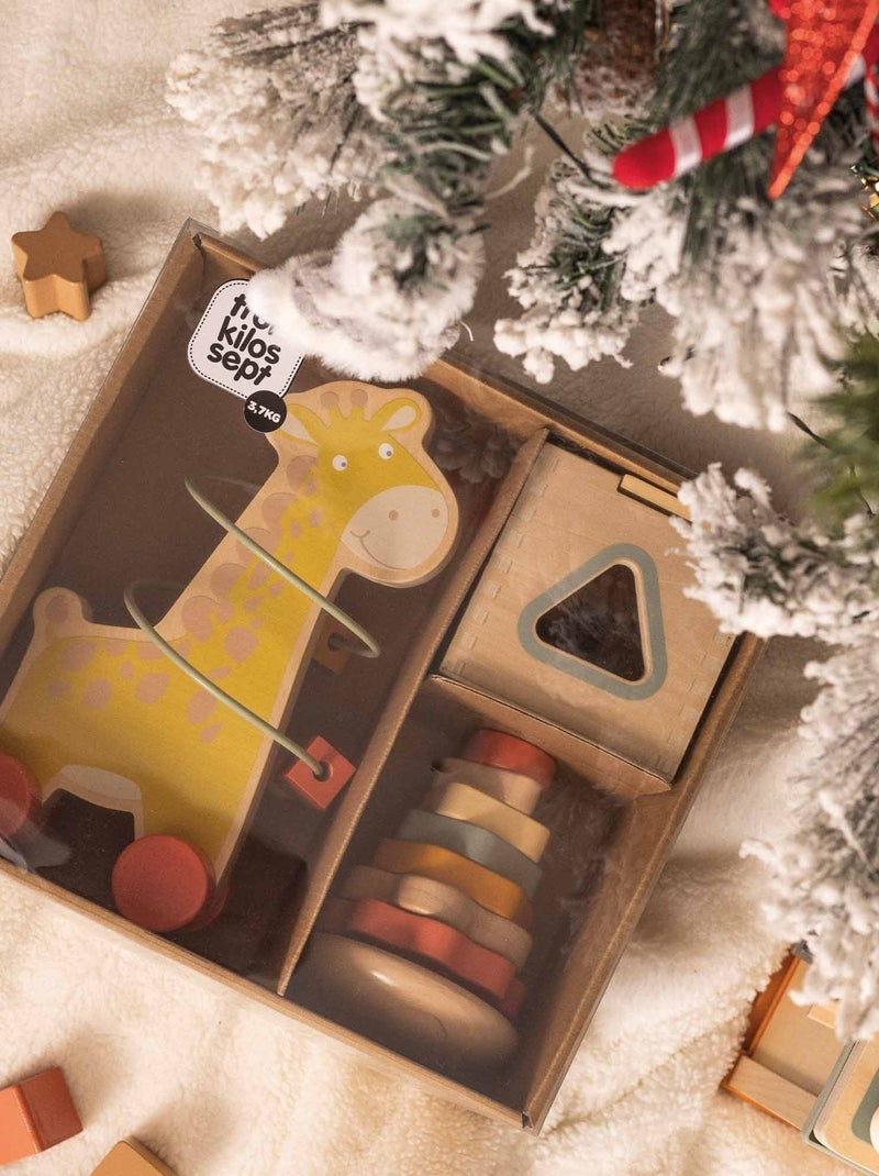 Coffret De 3 Jouets D'éveil En Bois Multicolore - Kiabi