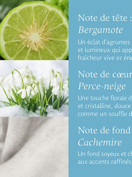 Coffret décoration de sapin avec bougie - Kiabi