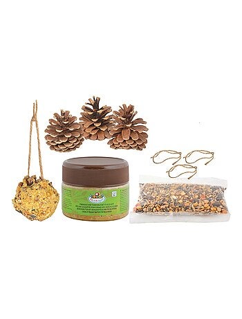 Coffret diy - mangeoire pomme de pin