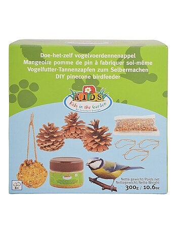 Coffret diy - mangeoire pomme de pin