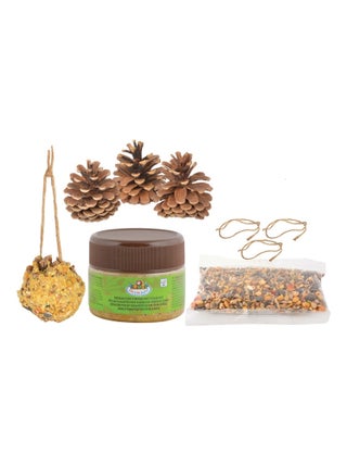 Coffret DIY - Mangeoire pomme de pin