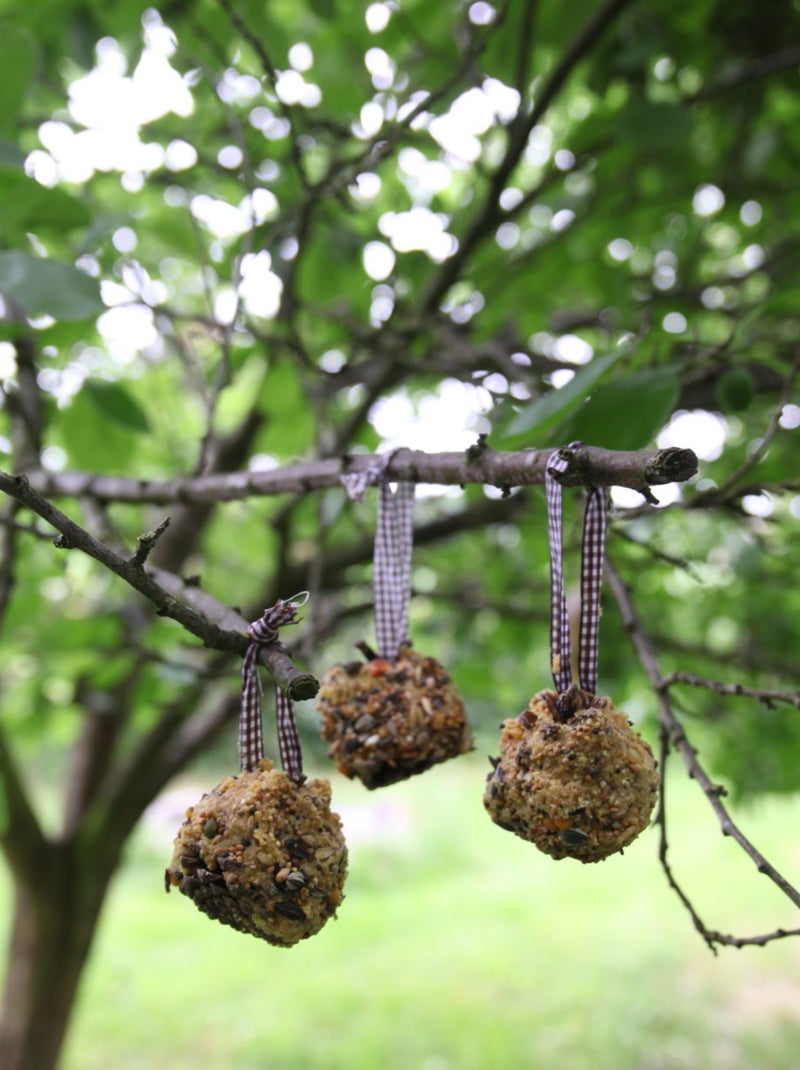Coffret DIY - Mangeoire pomme de pin Marron - Kiabi