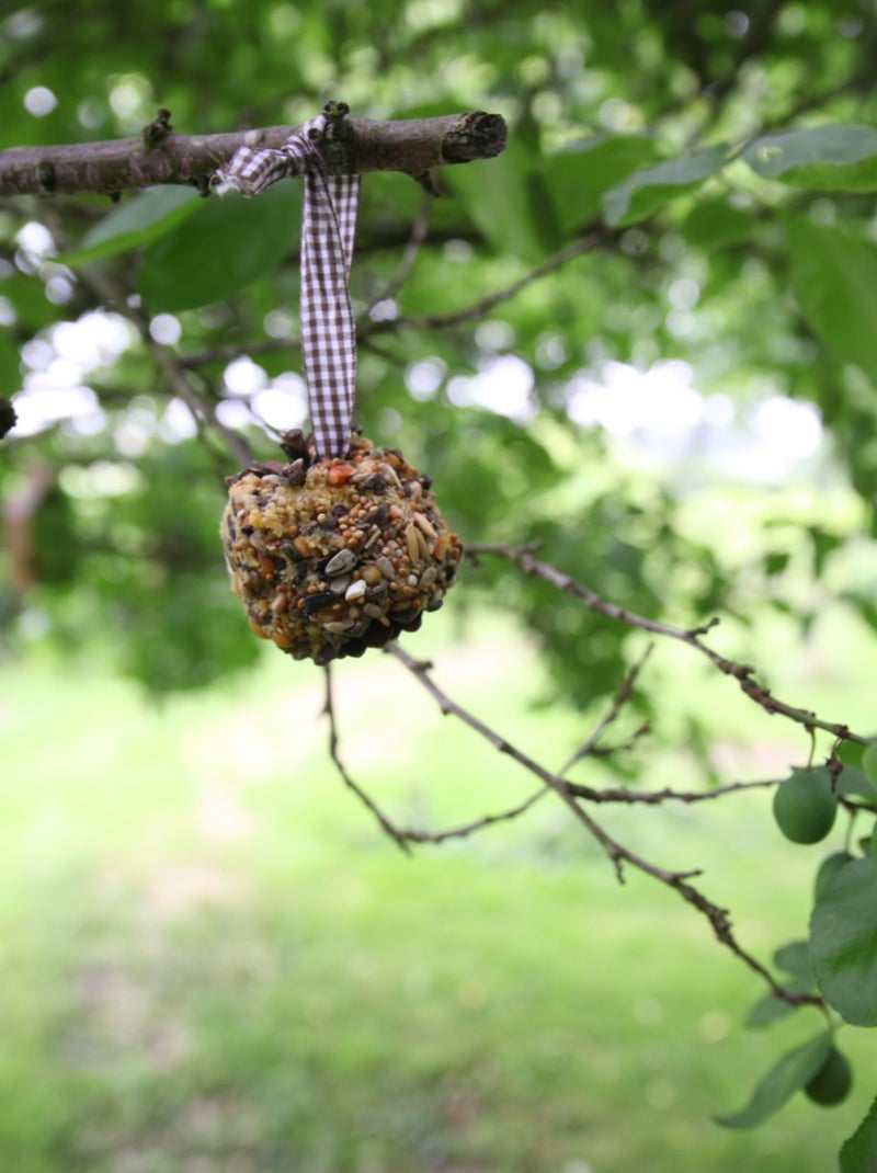 Coffret DIY - Mangeoire pomme de pin Marron - Kiabi